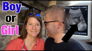 LIVE GENDER REVEAL 😂 Boy or Girl Ultrasound