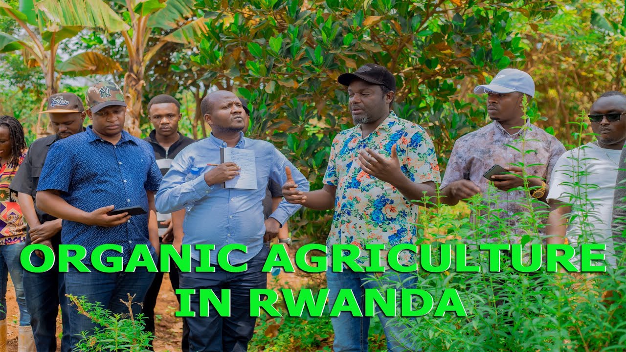 Как практикуется органическое земледелие в Руанде? Не бойтесь!