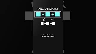 LOADING BAR LIES