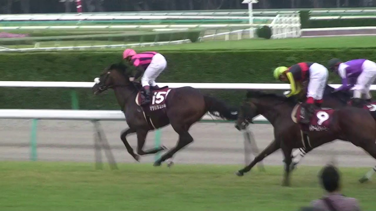 オールカマー 1着マツリダゴッホ号 (横山典弘騎手) (個人撮影) 2009年9