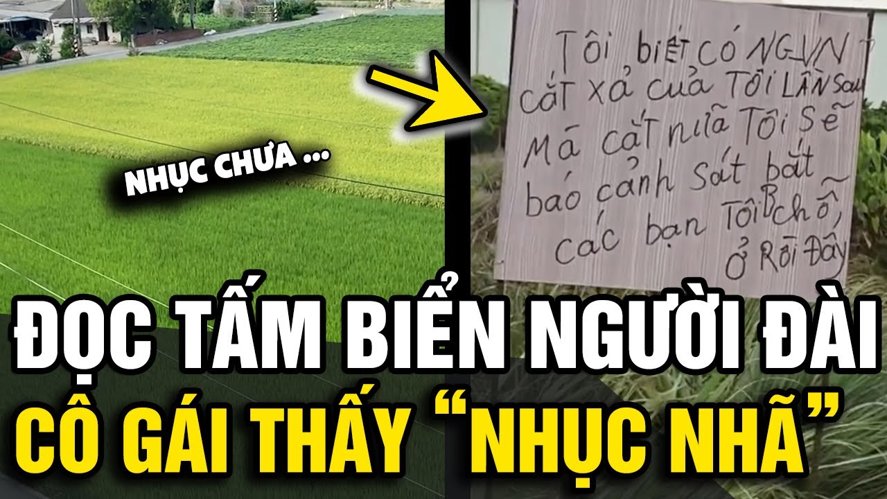 Đọc tấm biển người ĐÀI LOAN viết bên nhà, cô gái Việt cảm thấy 'XẤU HỔ Ê CHỀ' | Tin Nhanh Official