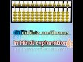 Solve on Abacus 1.3