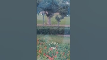 اللهم بلغنا رمضان لا فاقدين ولا مفقودين يارب 🤲 🤲 🤲 خالد الجليل تلاوة خاشعة ✌️ ❤️ #اكسبلور #quran