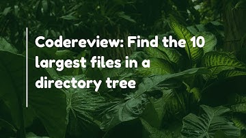 Codereview: Find the 10 largest files in a directory tree