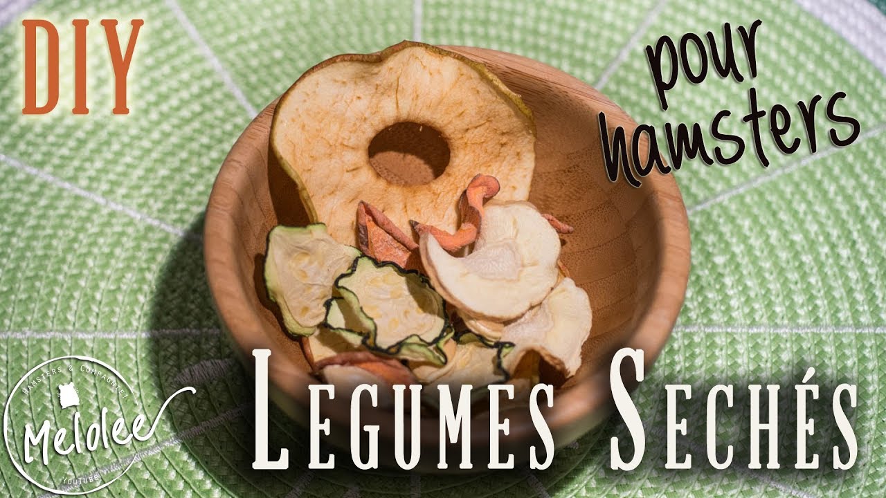 🥕 SECHER ses LEGUMES pour son HAMSTER  🐹