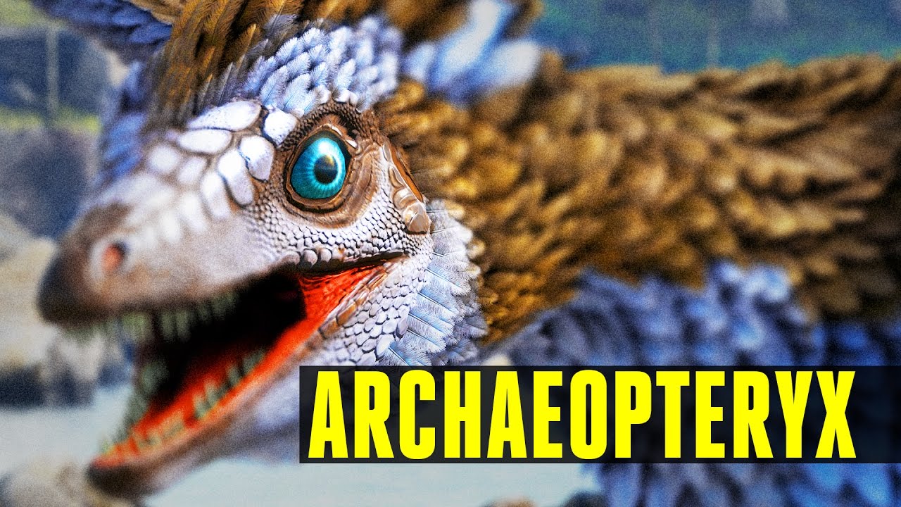 【原画】Archaeopteryx don't know the kimono. ARCHAEOPTERYX - How to tame/Everything you need to know