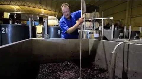 Sam Plunkett @ Wine by Sam (Vintage 2015)