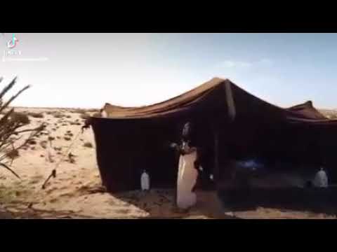 اغنية صحراوية بيا وبيا مخالك شي ماهو فيا