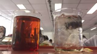 Time lapse of Diffusion of Tea in Hot vs Cold water