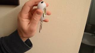 Daiso Dollar Store Oval Key Ring Light Review