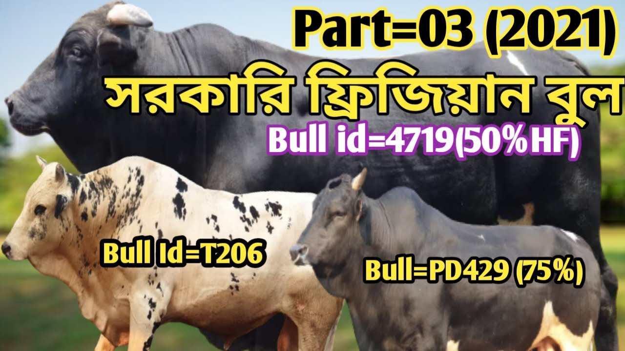 Biz kop ichdik va jinsiy aloqada boldik. Polsha talaba video