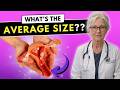 How Deep is the Vagina Urologist Explains Average Vaginal Size not as big as you think!
