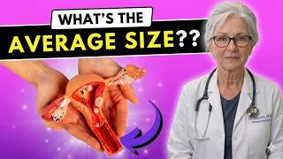 How Deep is the Vagina  Urologist Explains Average Vaginal Size not as big as you think!