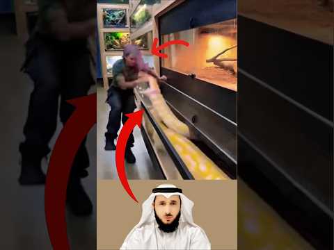 اقتربت بحذر لكن الأفعى الغادرة أنهت يقظتها بضربة مفاجئة اكسبلور   