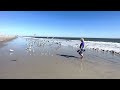 Uschi Short Beach and Birds