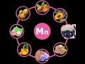 Manganese: The Essential Mineral for Energy & Bone Health! 🌟