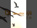 平井 大 /Orange Days(Lyric Video)#Shorts #平井大 #LOVE+PEACE