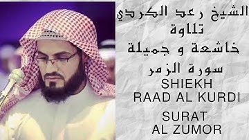 الشيخ رعد الكردي , سورة الزمر، تلاوة رائعة و خاشعة