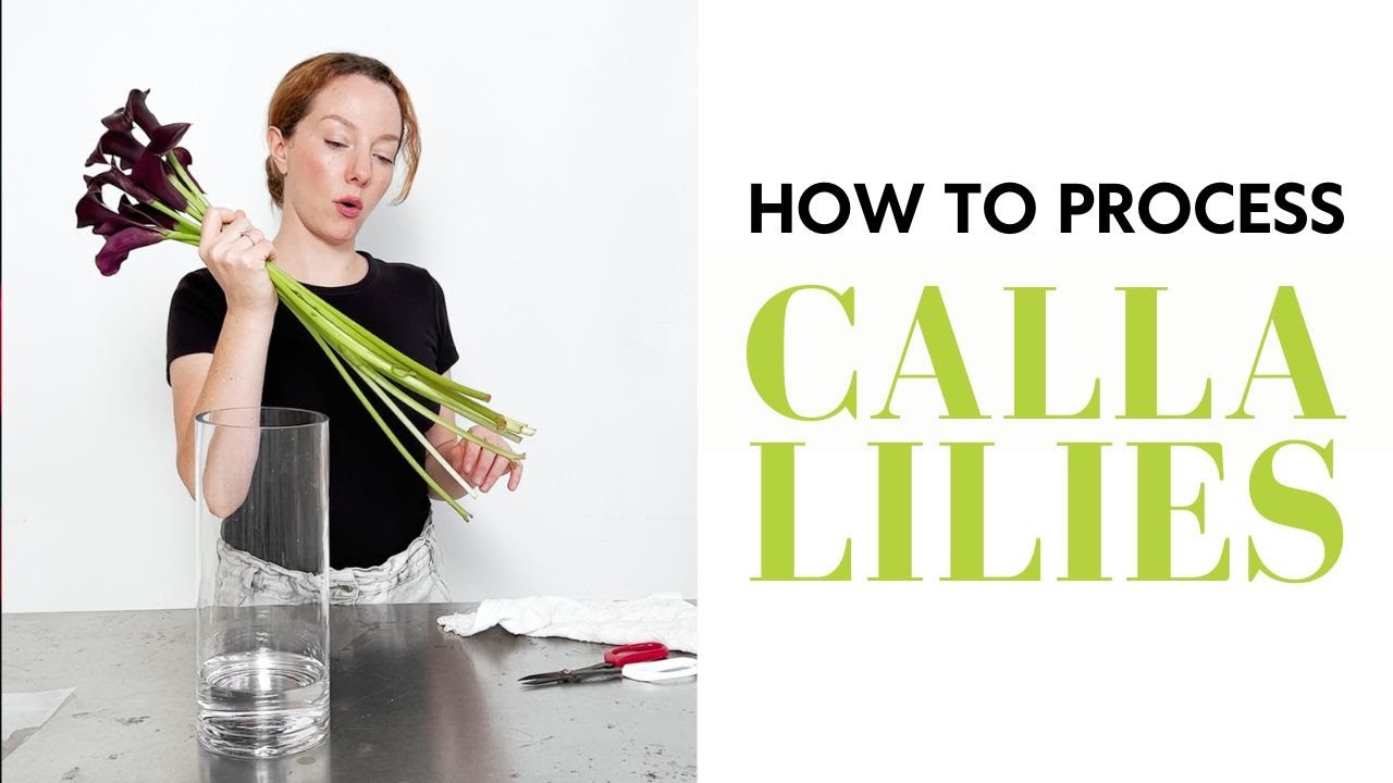 How to process Calla Lilies: Floral Design for Beginners