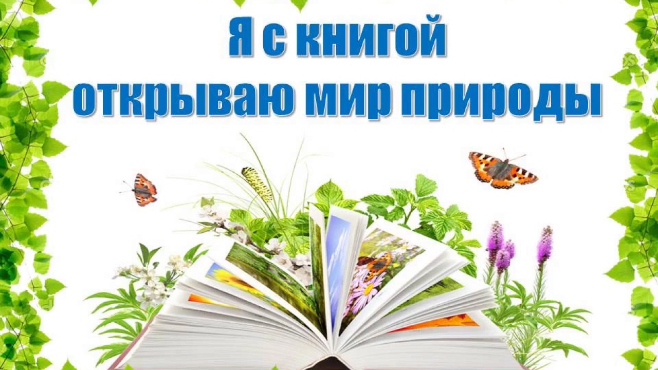 Мир книги сценарий