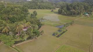 Peaceful Nature Retreat