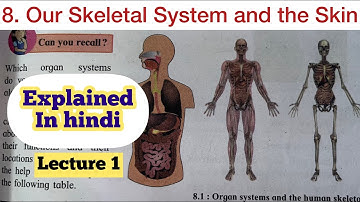 6th Std - Science - Chapter 8 Our Skeletal system and the skin explained in hindi lecture 1