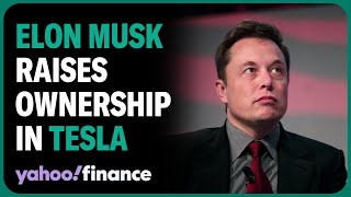 Elon Musk raises ownership of Tesla to 20.5%