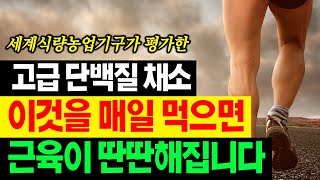 콩보다도 질 좋은 단백질을 갖고 있는 의외의 채소는? 이걸 먹으면 근육이 생성되고 젊어진다고 합니다.