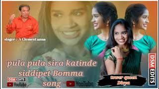 Pula Pula sira katinde siddipet bomma song||singer:- A Clement Anna||pakka folk song