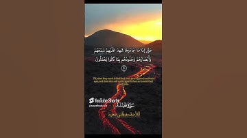 القارئ مصطفى وجيه ٠٠أسمع وريح قلبك 🎧❤️❤️ #اكسبلور