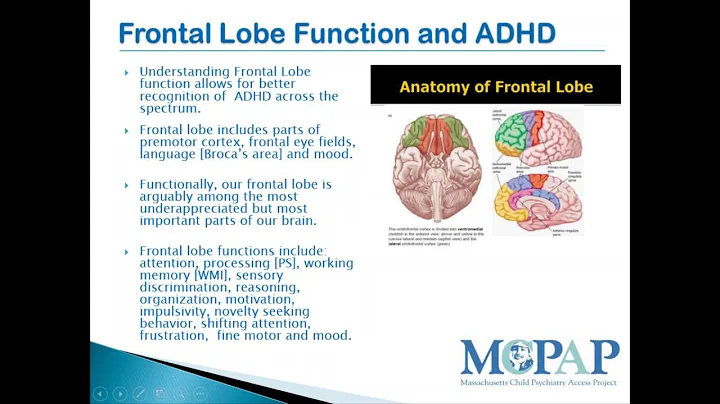 MCPAP Clinical Conversations  Managing ADHD in Ped...