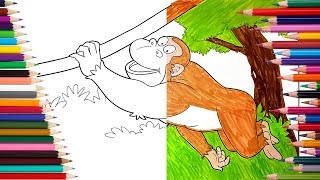 Swinging Monkey Coloring Page