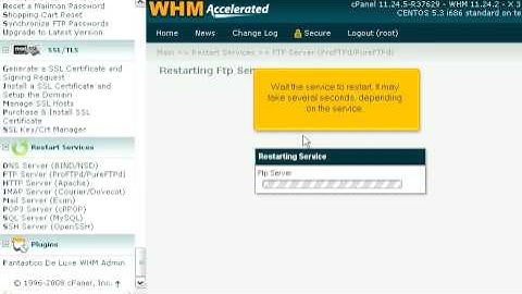 How to restart a service in WHM