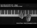 Bach/Marcello - BWV 974 Adagio (Piano Cover) - Fifty shades of Grey