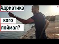 Рыбалка на Адриатическом море