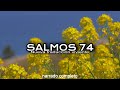 SALMOS 74 (narrado completo)NTV @reflexconvicentearcilalope5407 #biblia #salmos #parati #cortos