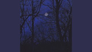 Moonlight