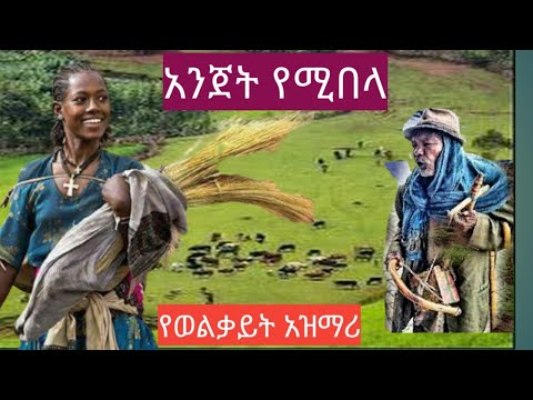 Ethiopian አንጀት የሚበላ ድንቅ የወልቃይት አዝማሪ ማሲንቆ ትዝታ Best New Ethiopian Traditional Azmari Masinko Music