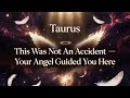 Taurus - Your Guardian Angel Personally Guided You Here Taurus, May 16, 2026