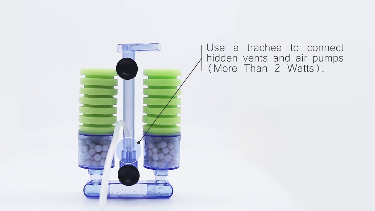 Aquarium Biological Sponge FilterGreen YouTube