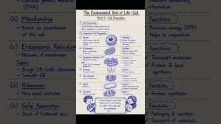 Biology class 9 Notes#class10 #9thclassenglishguesspaper2026 #10thclassmathguesspaper2025 #english