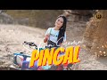 SAFIRA INEMA - PINGAL ( Official Music Video ) Cepak Cepak Jeder | Ibarat esuk mendung