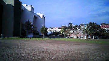 F-22 painted  (rcpowers easy build)