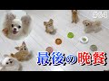 みんな今までありがとう