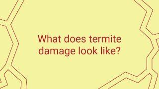 What Does Termite Damage Look Like?