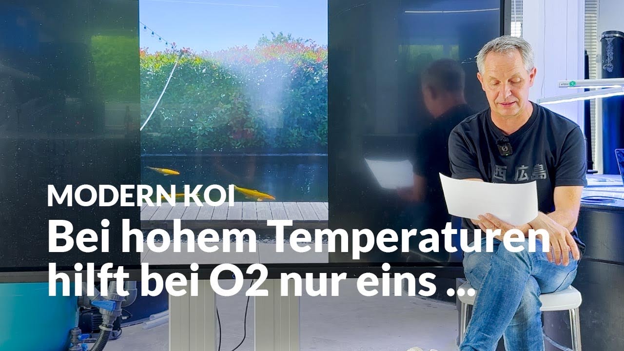 Mehr Sauerstoff durch Wasserbrausen | Modern Koi Blog #7522