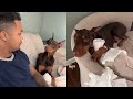 Suavexavier dog 2022  knox  compilation 