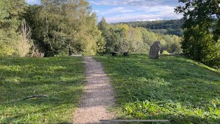 A peaceful and relaxing walk through the forest