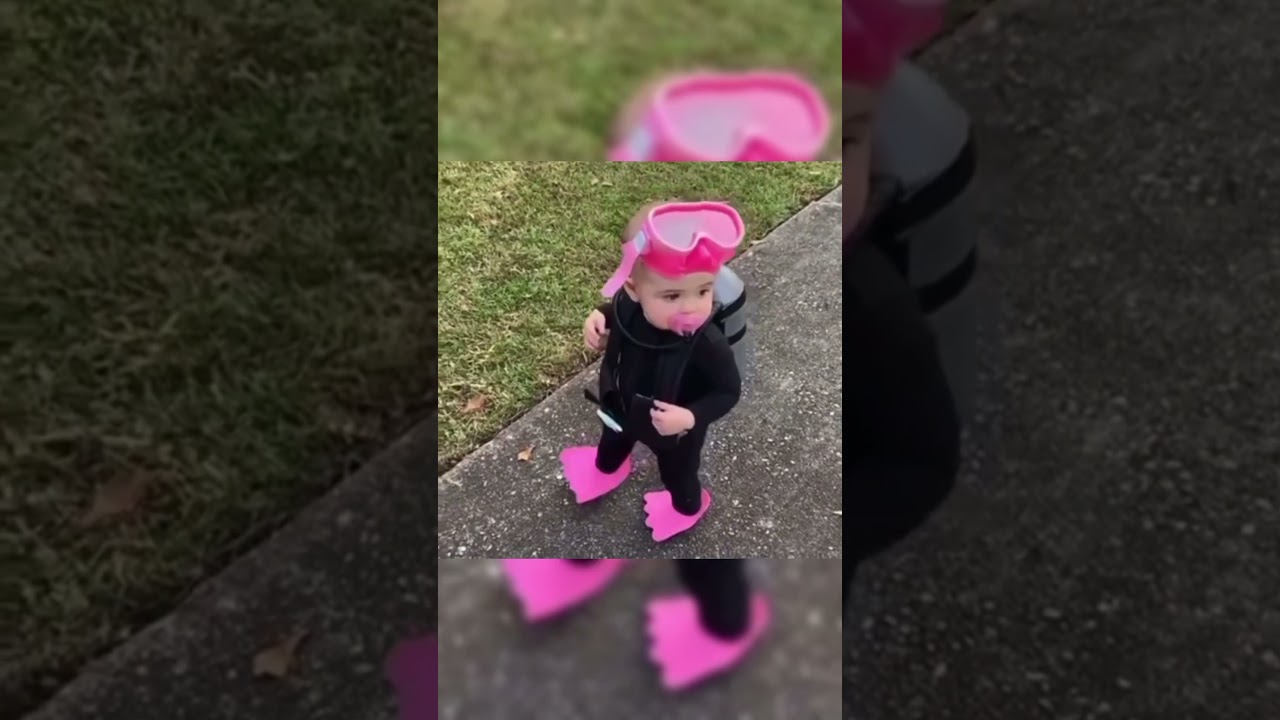 Дайвинг обучение для новичков и профи  