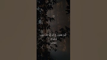 تلاوة خاشعة جميلة بصوت فارس عباد ارح سمعك( سورة الحجر )#فارس_عباد🤍